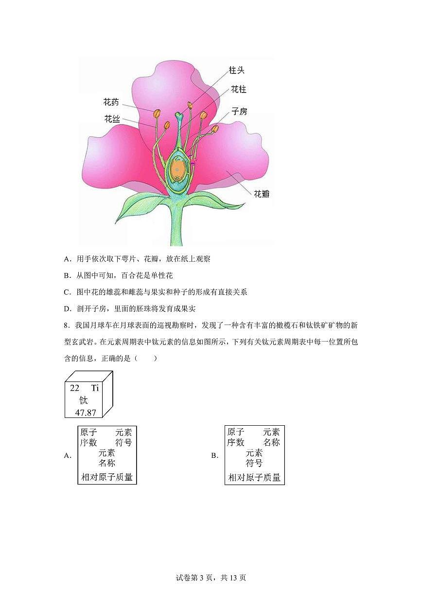 2024~2025学年浙江省温州市瑞安市6校联考七年级下册期中科学试题【附答案】第3页