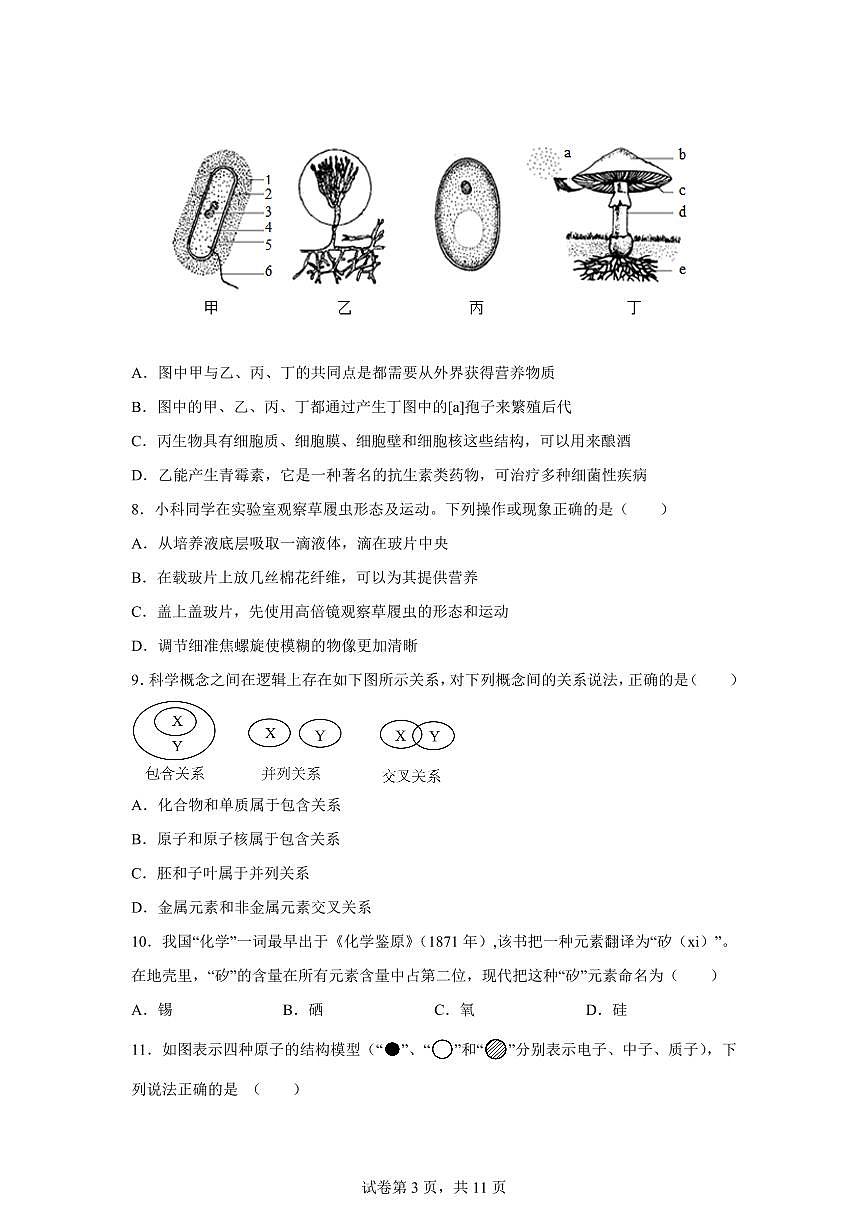 2024~2025学年浙江省温州市苍南县七年级下册期中科学试题【附答案】第3页