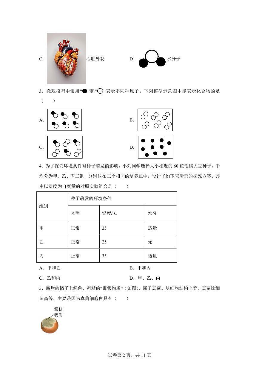 2024~2025学年浙江省温州新质联盟学校七年级下册期中考试科学试题【附答案】第2页