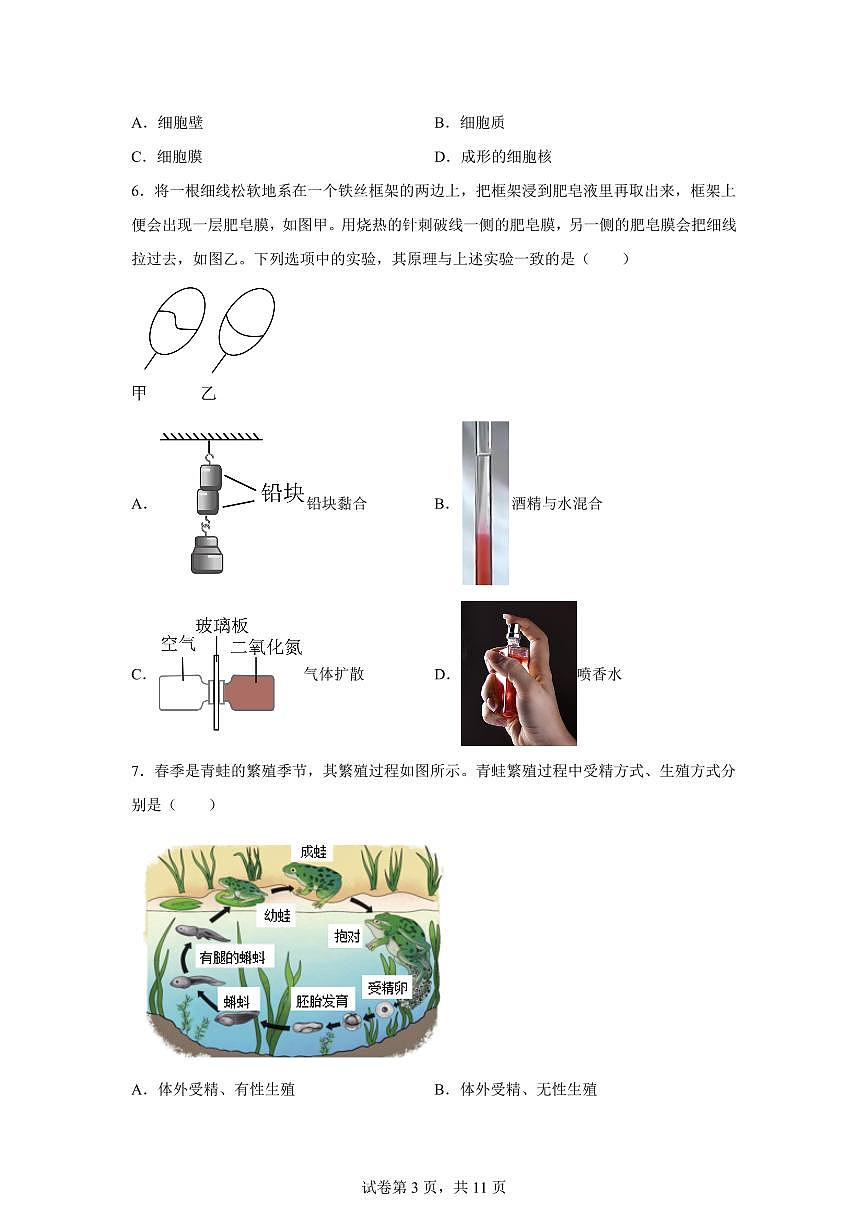 2024~2025学年浙江省温州新质联盟学校七年级下册期中考试科学试题【附答案】第3页