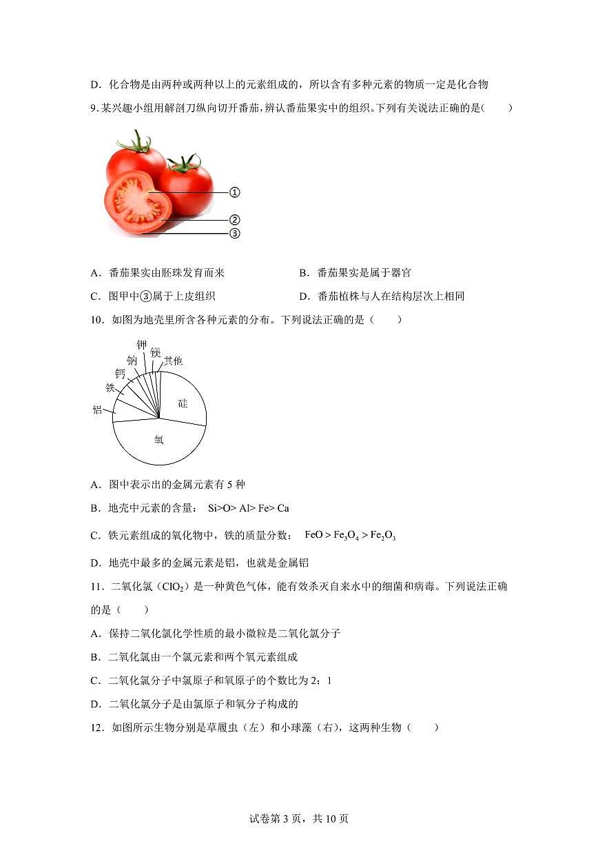 2024~2025学年浙江省温州市龙港市七年级下册4月期中科学试题 【附答案】第3页