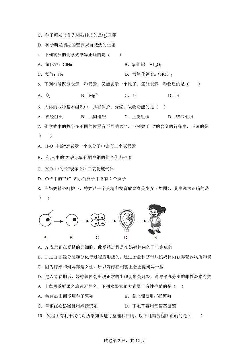 2024~2025学年浙江省台州市书生中学七年级下册期中科学试题【附答案】第2页