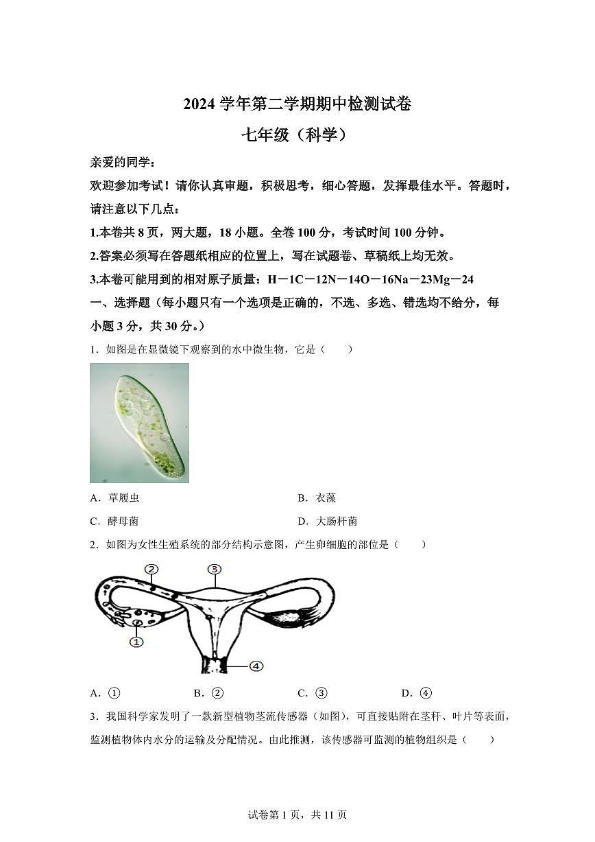 2024~2025学年浙江省温州市安阳实验中学七年级下册期中科学试题【附答案】第1页