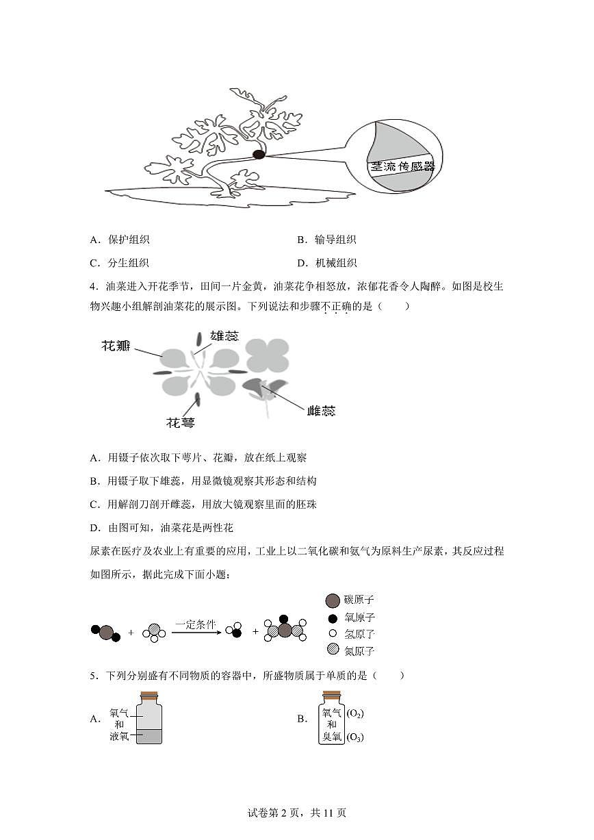 2024~2025学年浙江省温州市安阳实验中学七年级下册期中科学试题【附答案】第2页