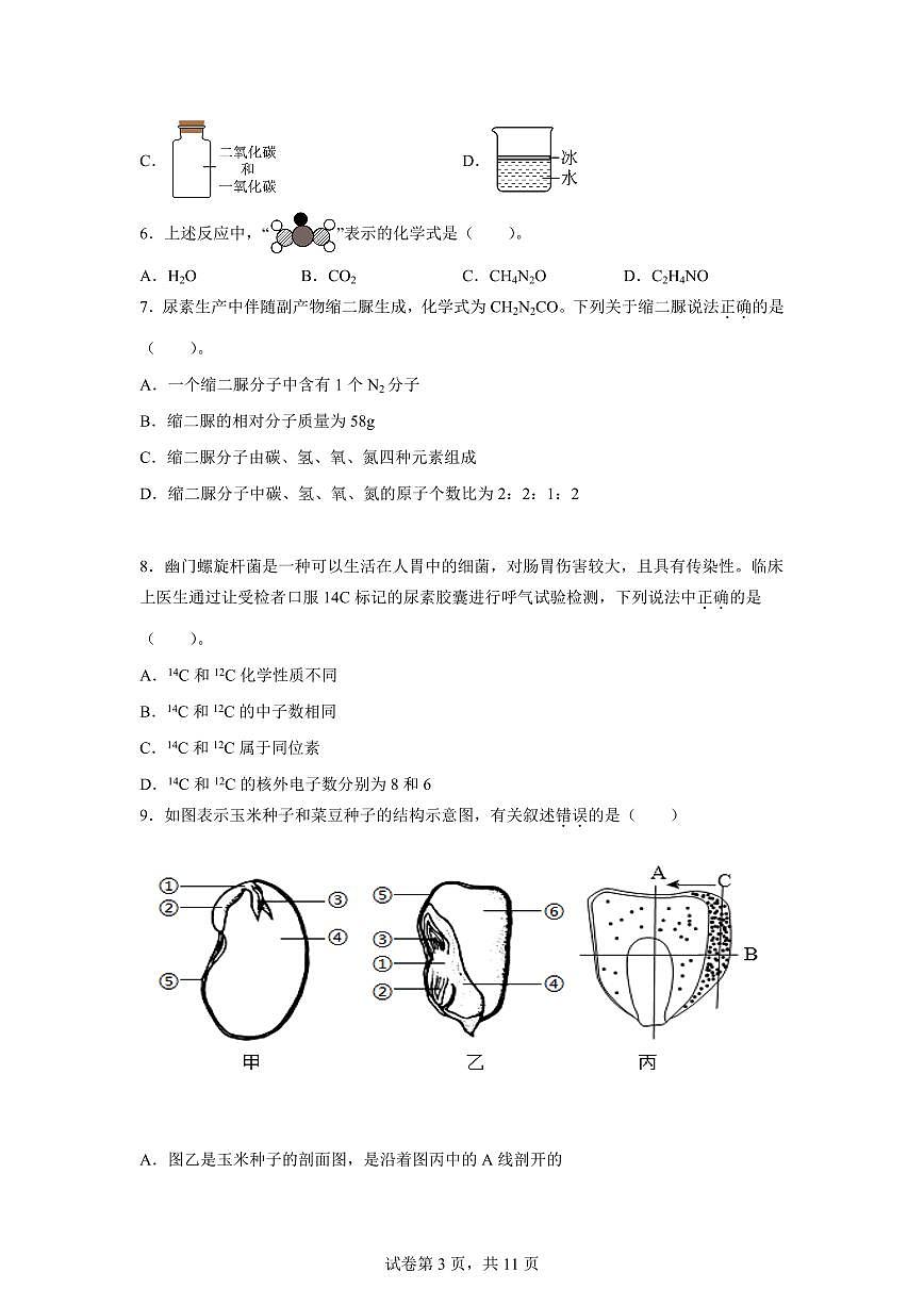 2024~2025学年浙江省温州市安阳实验中学七年级下册期中科学试题【附答案】第3页