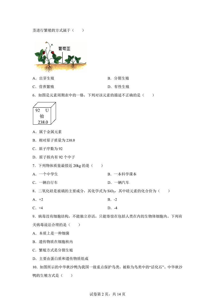 2024~2025学年浙江温州浙里联盟下册七年级4月期中测试科学试题【附答案】第2页