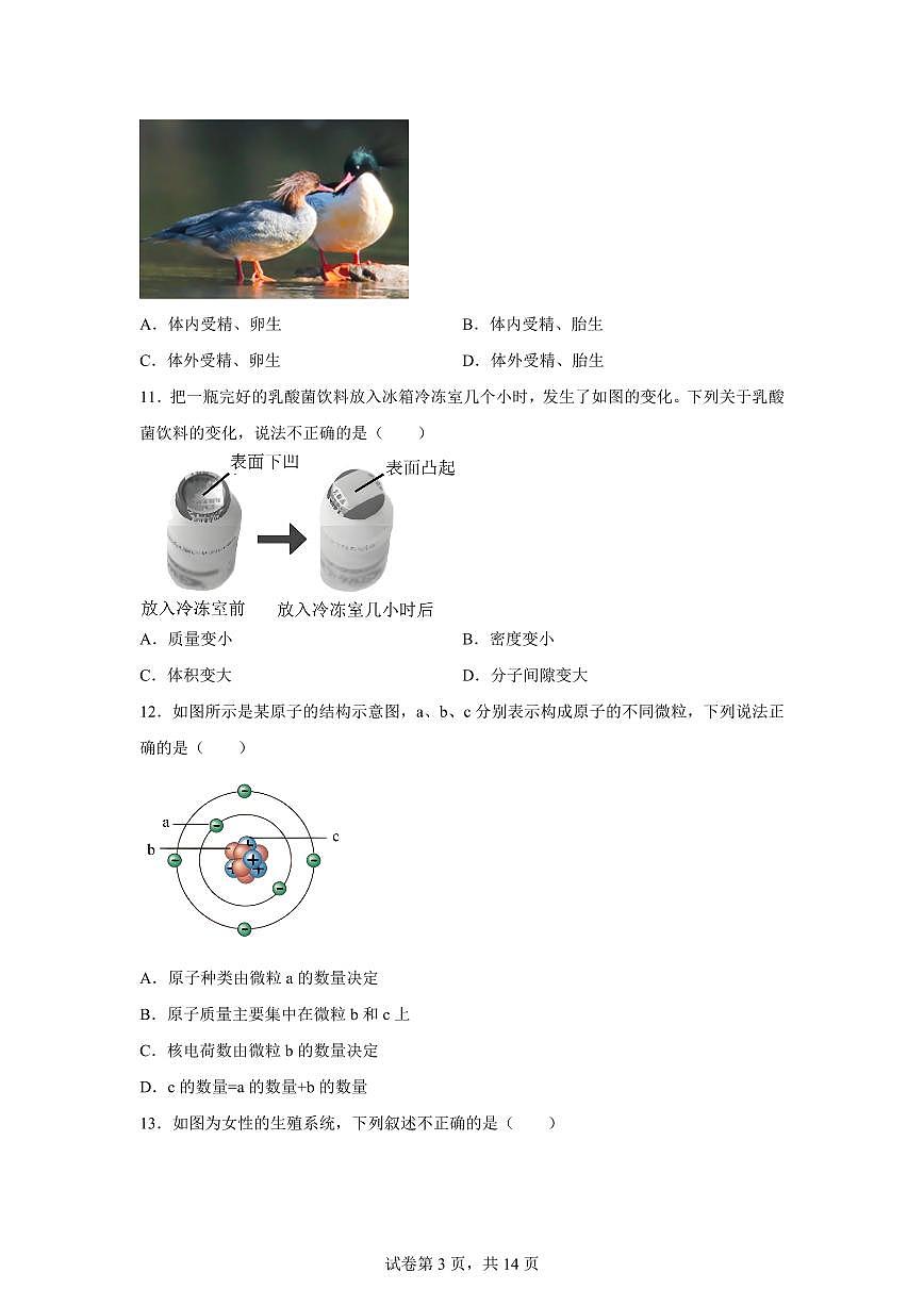 2024~2025学年浙江温州浙里联盟下册七年级4月期中测试科学试题【附答案】第3页