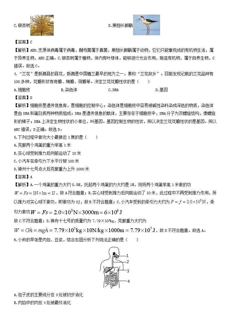 浙江省绍兴市新昌县2023-2024学年九年级上学期期末科学试卷（解析版）第2页