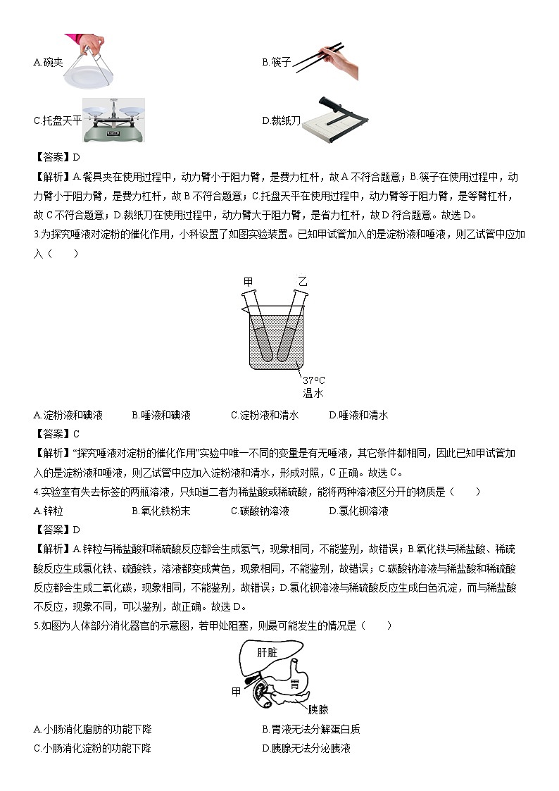 浙江省绍兴市嵊州市2023-2024学年九年级上学期期末科学试卷（解析版）第2页