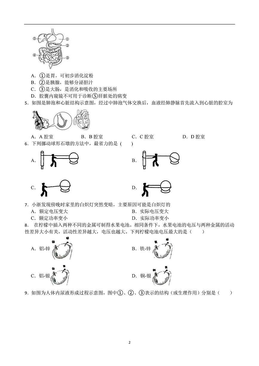 浙江省温州市乐清市乐成第一中学2024-2025学年第二学期九年级开学检测科学试卷（含答案）第2页