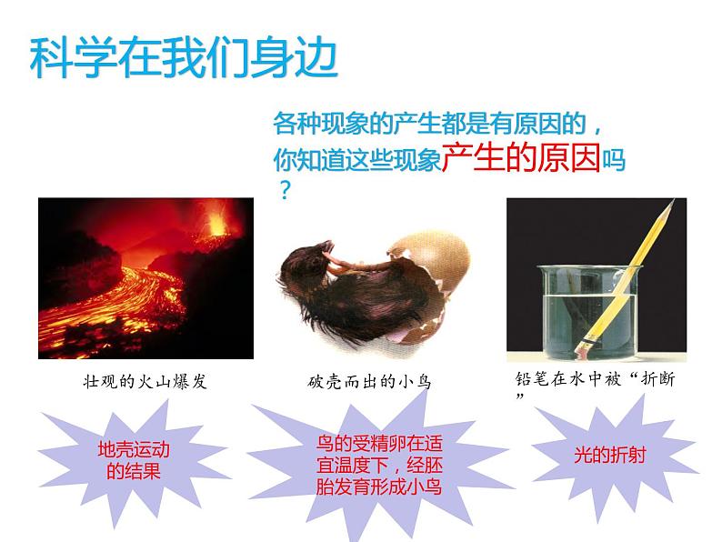 浙教版初中科学七年级上册 1.1《科学并不神秘》课件04