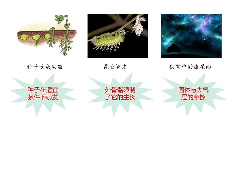 浙教版初中科学七年级上册 1.1《科学并不神秘》课件05