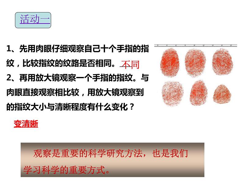 浙教版七年级上册1.3《科学观察》课件03