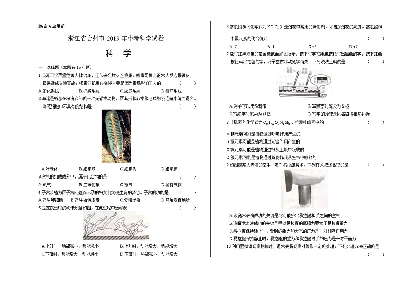 2019年浙江省台州市中考科学试卷（附答案与解析）01