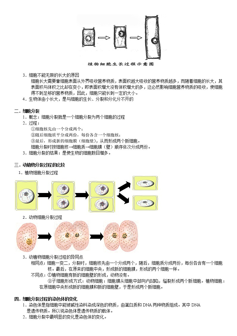 浙教版科学教案 七上 生物体的结构层次（机构专用）02