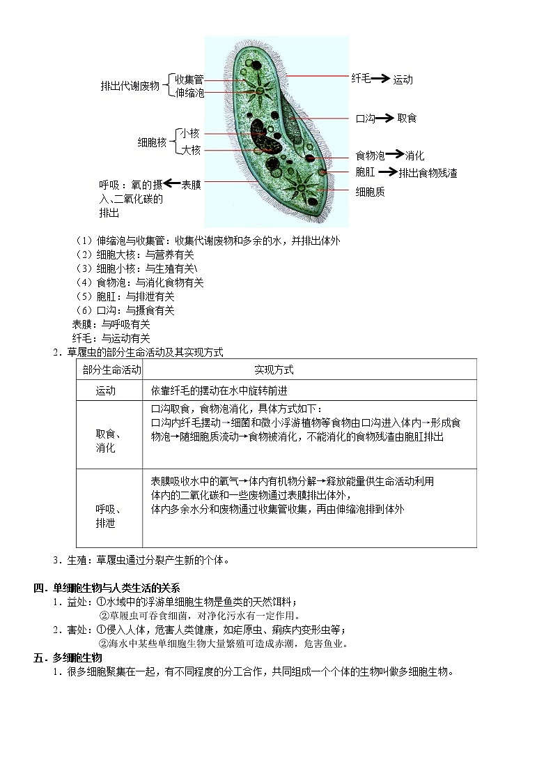 浙教版科学教案 七上 第二章 物种多样性03