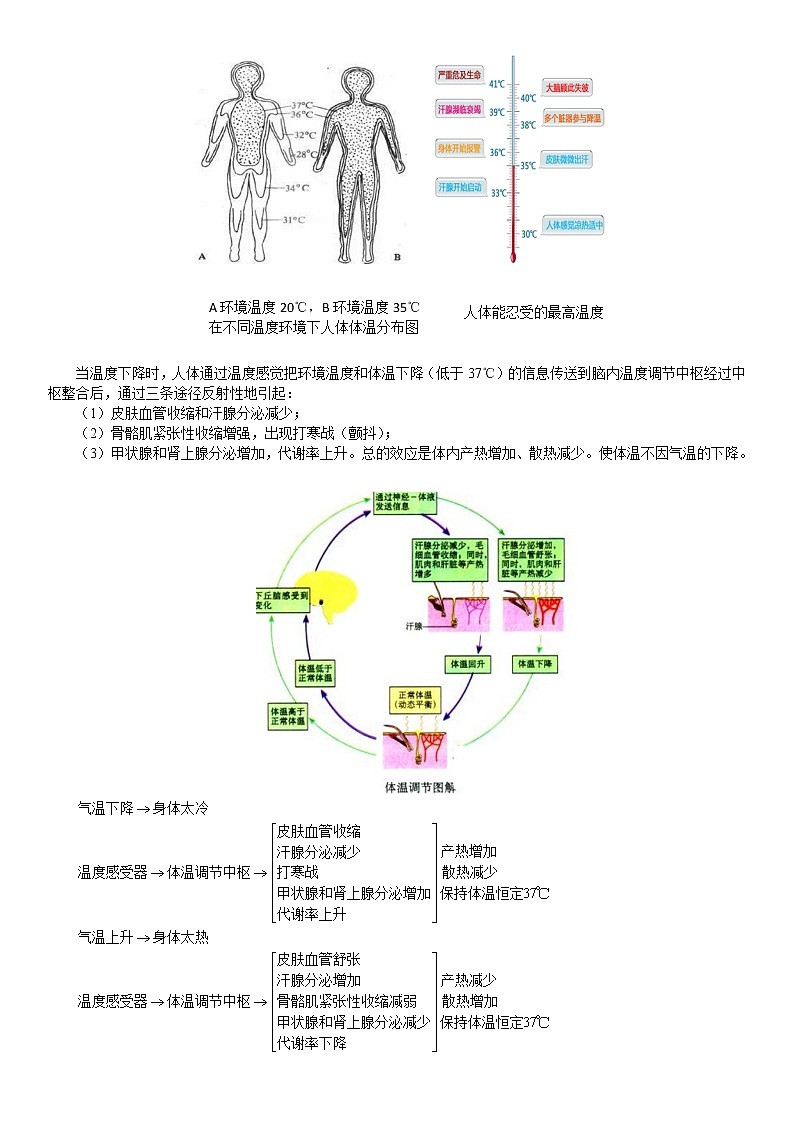 浙教版八上科学教案 第三章 体温控制（机构专用）03
