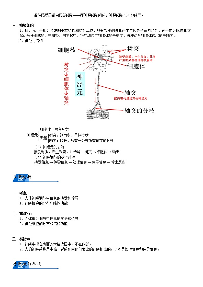 浙教版八上科学教案 第三章  神经调节（机构专用）03