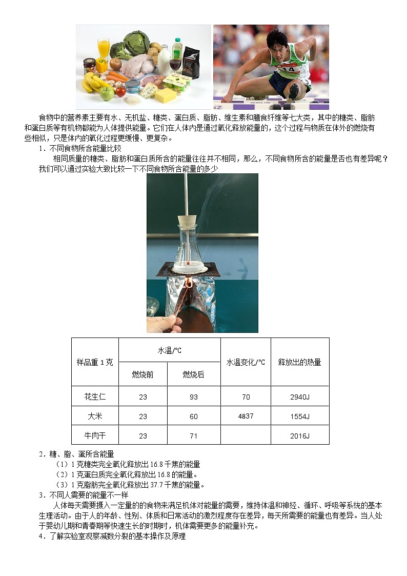 浙教版科学教案 九上 第四章 消化系统（机构专用）02