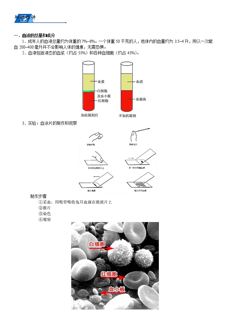 浙教版科学教案 九上 第四章 循环系统 （机构专用）02
