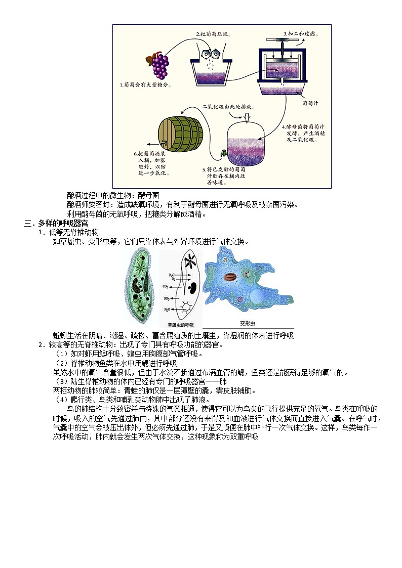 浙教版科学教案 九上 第四章 泌尿系统 （机构专用）03