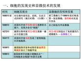 浙教版七年级科学上册 2.2细胞 (课件)