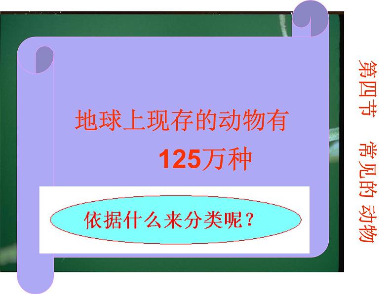 浙教版七年级科学上册 2.4常见的动物(第一课时) (课件)03