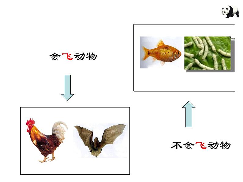 浙教版七年级科学上册 2.4常见的动物(第一课时) (课件)08