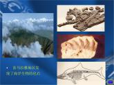 华东师大版七年级科学上册6.2海陆变迁课件