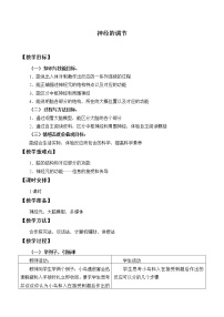 浙教版八年级上册第3章 生命活动的调节第3节 神经调节教学设计