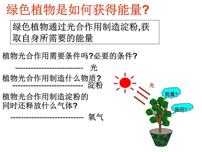 7.3.1绿色植物如何获取能量课件（19张PPT）第2页