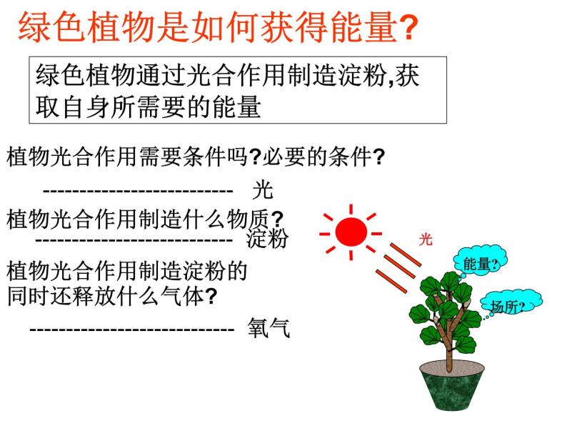 牛津上海版科学六年级下册 绿色植物如何获取能量 PPT课件02