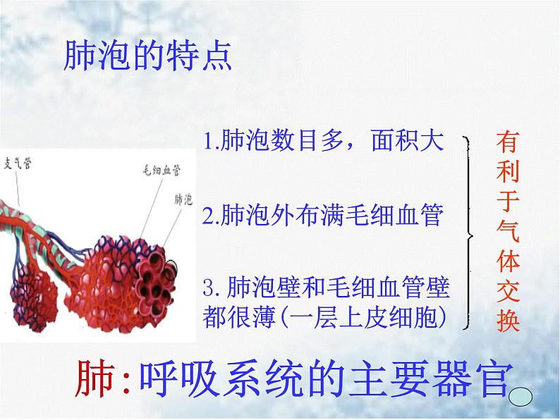 牛津上海版科学六年级下册 第7章 空气与生命  动植物与大气间的气体交换  人类的呼吸 PPT课件06