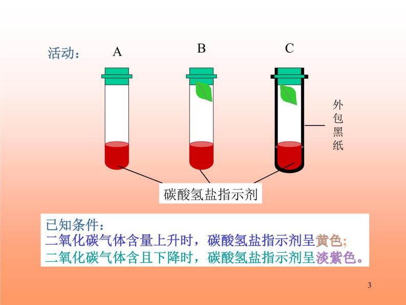 牛津上海版科学六年级下册 植物的呼吸 PPT课件03