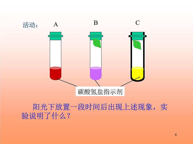 牛津上海版科学六年级下册 植物的呼吸 PPT课件04