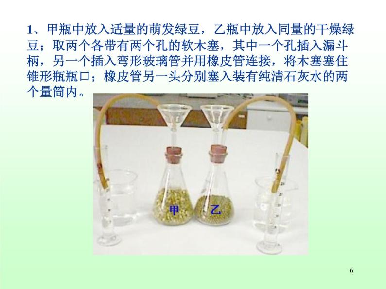 牛津上海版科学六年级下册 植物的呼吸 PPT课件06
