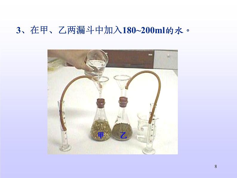 牛津上海版科学六年级下册 植物的呼吸 PPT课件08