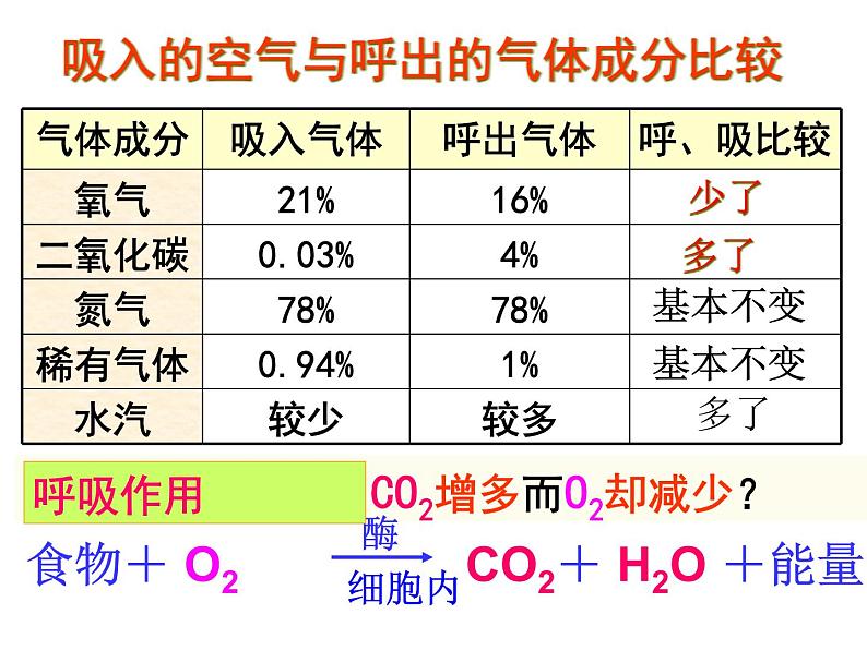生物是怎样呼吸的（第1课时）第4页