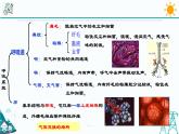 3.5《生物的呼吸和呼吸作用 第1课时》PPT课件+视频素材 浙教版八年级科学下册