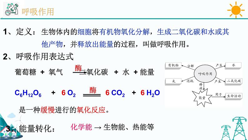 3.5《生物的呼吸和呼吸作用 第2课时》PPT课件+视频素材 浙教版八年级科学下册04