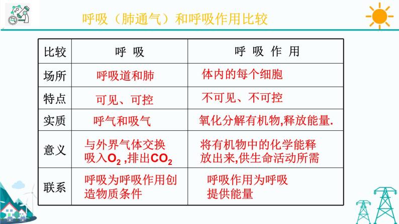 3.5《生物的呼吸和呼吸作用 第2课时》PPT课件+视频素材 浙教版八年级科学下册08