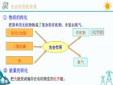 3.6《光合作用 第1课时》PPT课件+视频素材 浙教版八年级科学下册