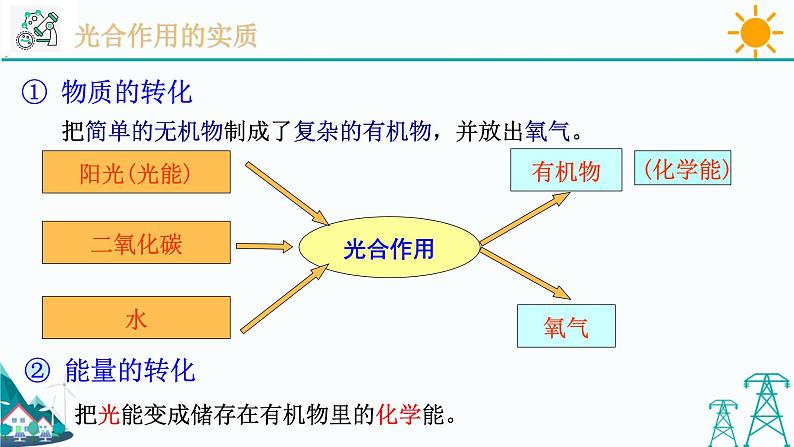 3.6《光合作用 第1课时》PPT课件+视频素材 浙教版八年级科学下册04