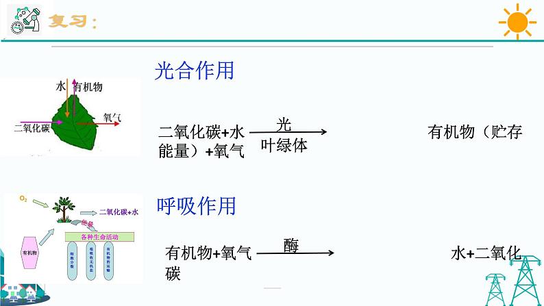 3.7《自然界中的氧循环和碳循环》PPT课件+视频素材 浙教版八年级科学下册02