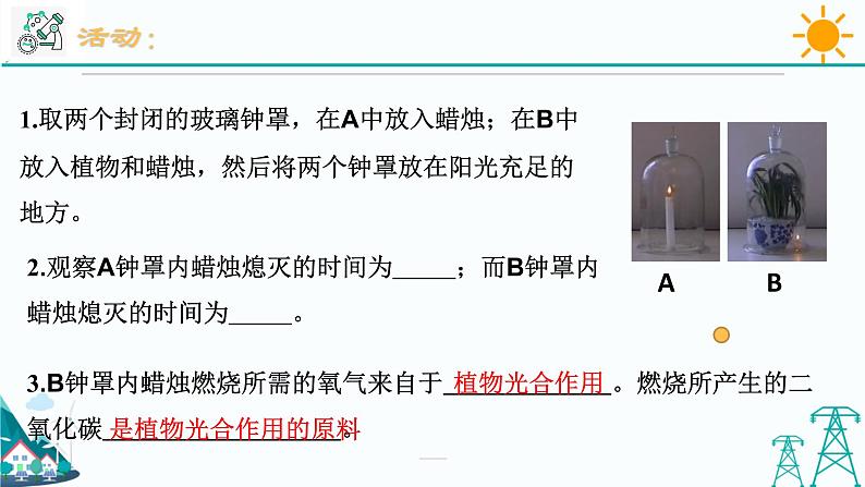 3.7《自然界中的氧循环和碳循环》PPT课件+视频素材 浙教版八年级科学下册03