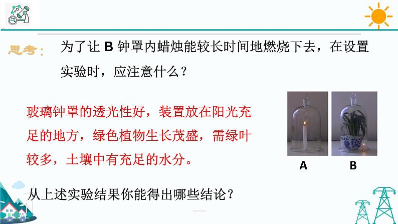 3.7《自然界中的氧循环和碳循环》PPT课件+视频素材 浙教版八年级科学下册04