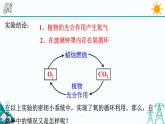 3.7《自然界中的氧循环和碳循环》PPT课件+视频素材 浙教版八年级科学下册