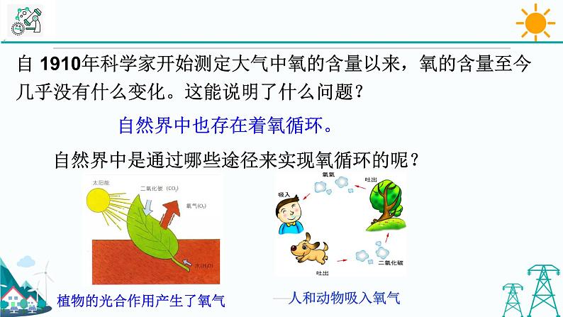3.7《自然界中的氧循环和碳循环》PPT课件+视频素材 浙教版八年级科学下册06