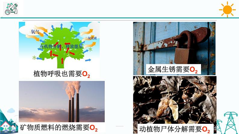 3.7《自然界中的氧循环和碳循环》PPT课件+视频素材 浙教版八年级科学下册07