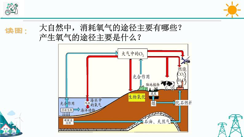 3.7《自然界中的氧循环和碳循环》PPT课件+视频素材 浙教版八年级科学下册08